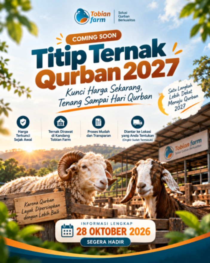 Titip Ternak Qurban 2027 Tobian Farm: Kunci Qurban dari Sekarang